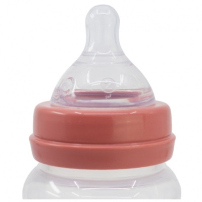 DISNEY BIBERON ANTICOLICA 360 ML MINNIE