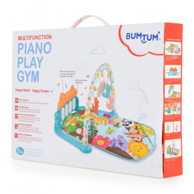 PALESTRA GIOCO MONI PIANOFORTE  MUSICALE 