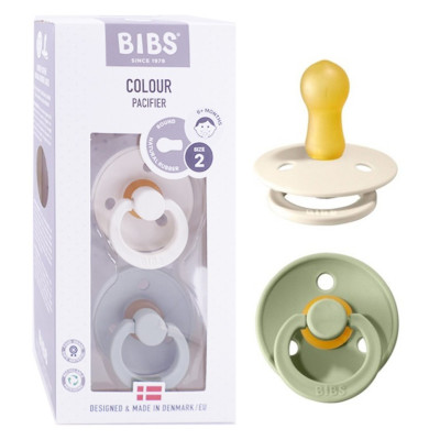 BIBS CIUC COL ROT LATT SALVIA2