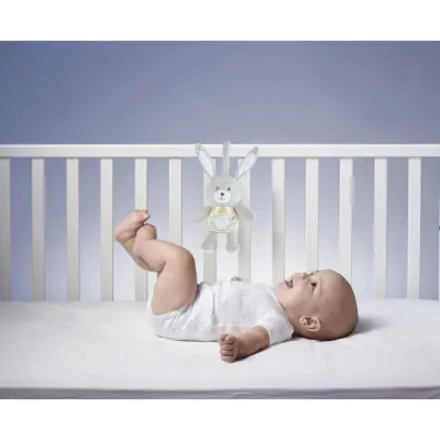CH CONIGLIO DOLCE NOTTE
